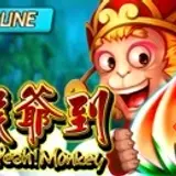 S HY01