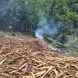 Majapura