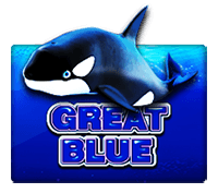 t656f48j75z6a.webp