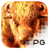 titi4d buffalo win