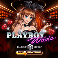 smg playboywilds icon square 250x250 en.webp