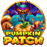 SGtiti4dPumpkinPatch.webp