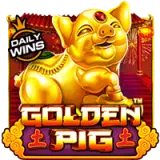 vs25titi4dgoldpig t