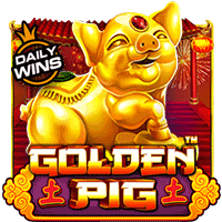 vs25titi4dgoldpig t.webp