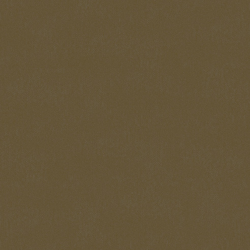 fossil.jpg