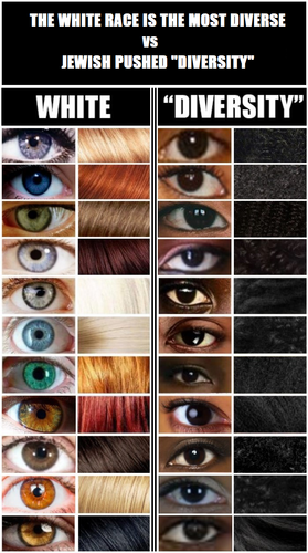 bchute diversity.png