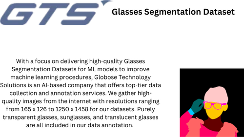 Glasses Segmentation Dataset.png