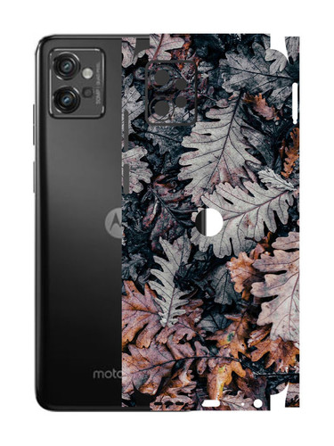 Moto G32 DryLeaves.jpg