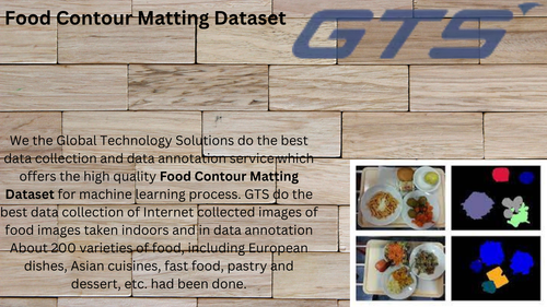 Food Contour Matting Dataset.png