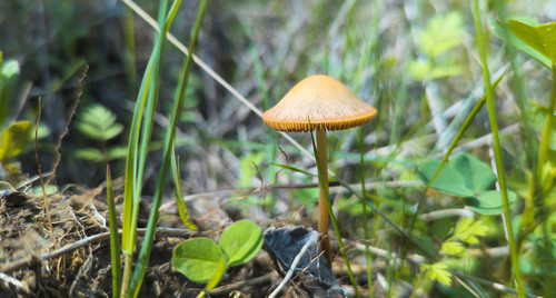 1682435235 58 62.jpg