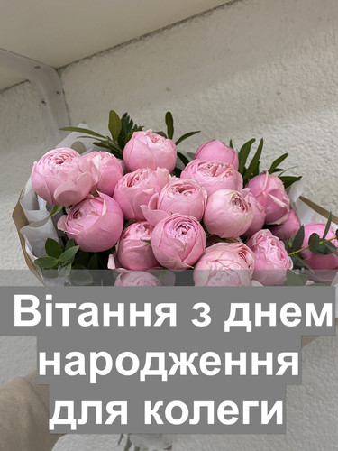 pic.jpg