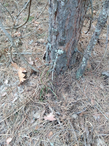 IMG 20230425 170010.jpg