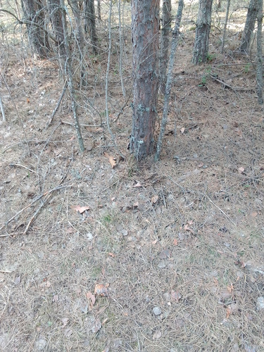 IMG 20230425 170003.jpg