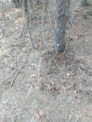 IMG 20230425 170043.jpg