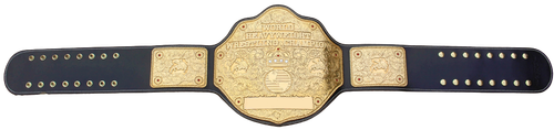 BeltWorld 044 01 (1).png