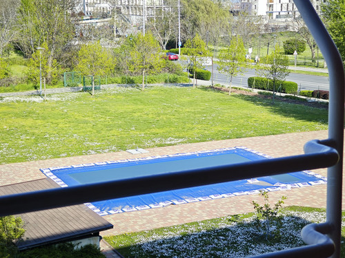 IMG 20230422 163613.jpg