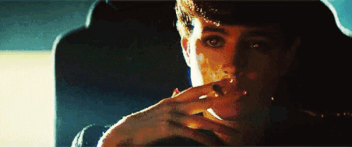 640 (1).gif