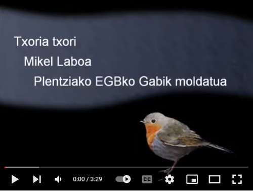 txoria txori.png