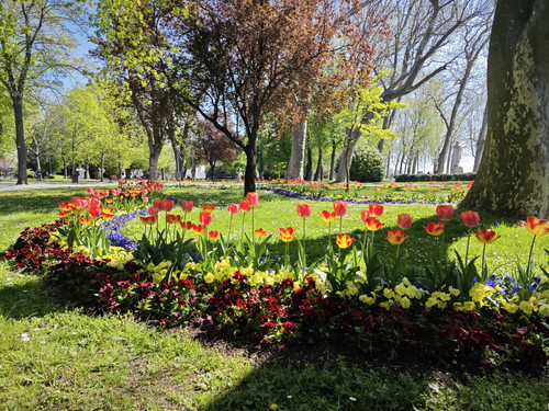 IMG 20230423 103658.jpg