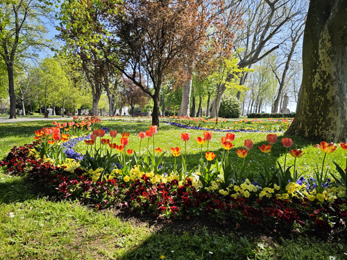 IMG 20230423 103709.jpg