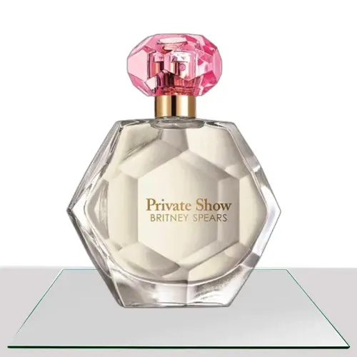 Britney Spears Private Show top2.webp