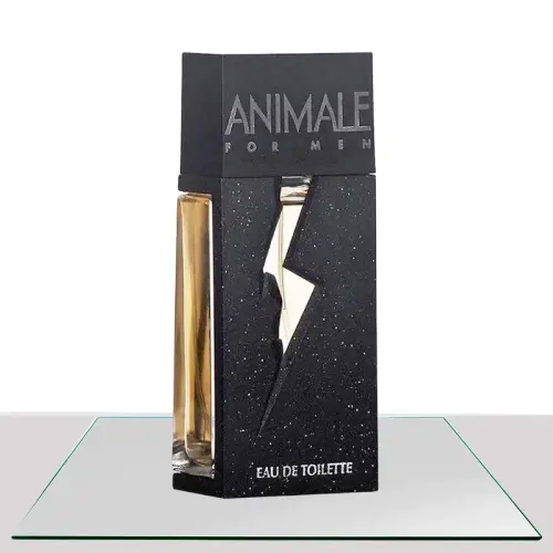 Animale For Men.webp