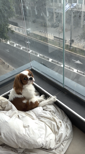 Screenshot 2023 04 28 at 2.55.32 PM.png