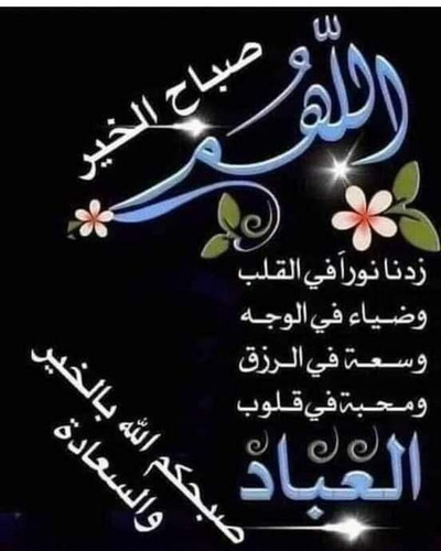 IMG 20230214 WA0000.jpg