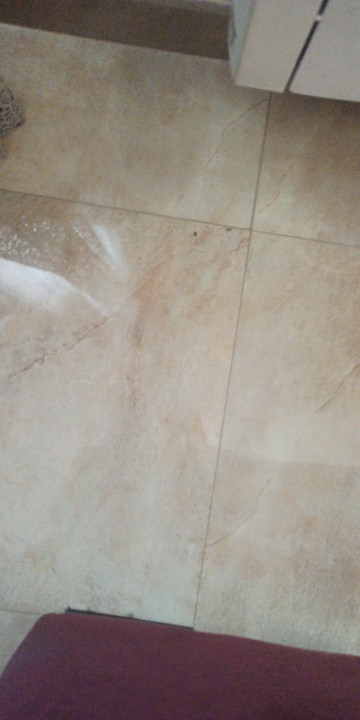  1104908467 1889530774.jpg