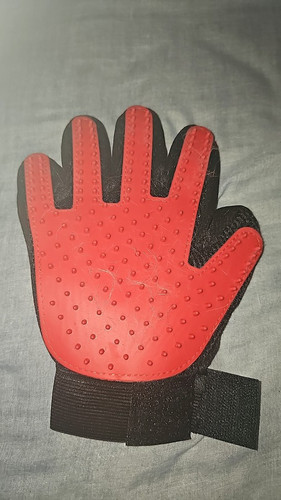  1104909877 1376375428.jpg