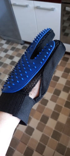  1104921856 1468385655.jpg