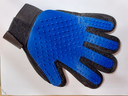  1106214479 1395998889.jpg