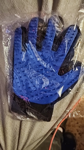  1104859984 1162562570.jpg