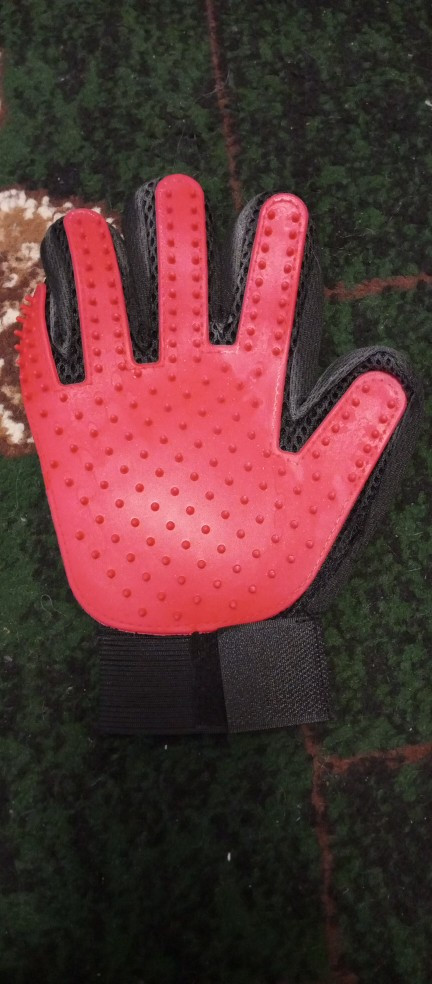  1104912250 1037397597.jpg