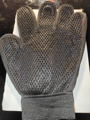  1106260079 13683556.jpg