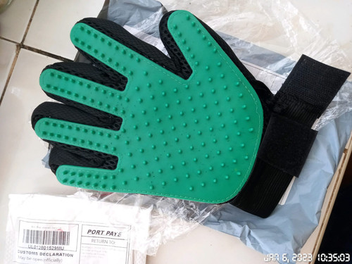  1106222249 1730755934.jpg