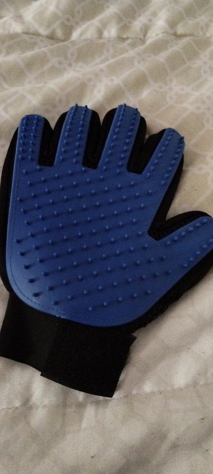  1106232647 376724785.jpg