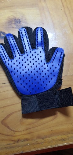  1104966217 2125487341.jpg