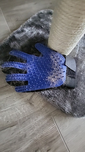  1106277313 883703944.jpg