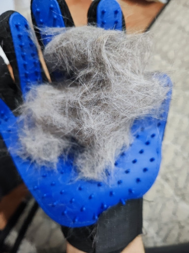  1106293124 1950444175.jpg