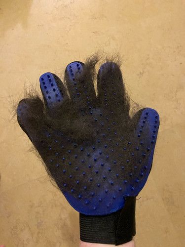  1106289851 94781866.jpg