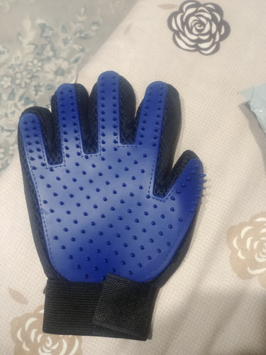  1106311031 1596778928.jpg