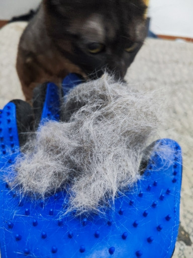  1106430564 1012033809.jpg