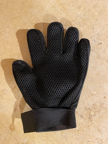  1106365663 1557818622.jpg