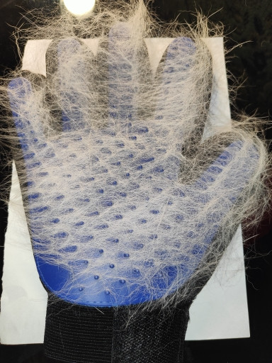  1106411372 1541178969.jpg