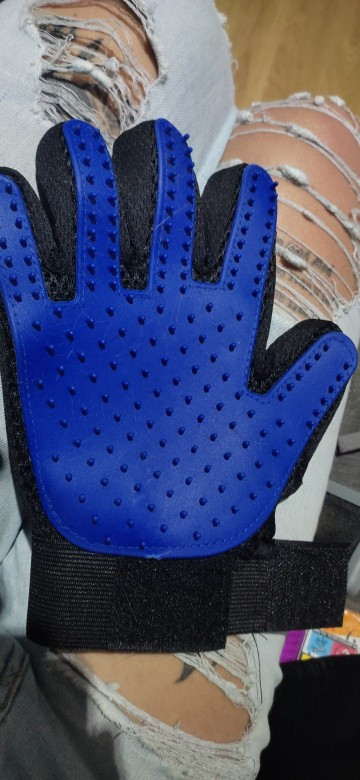  1106423091 675511332.jpg