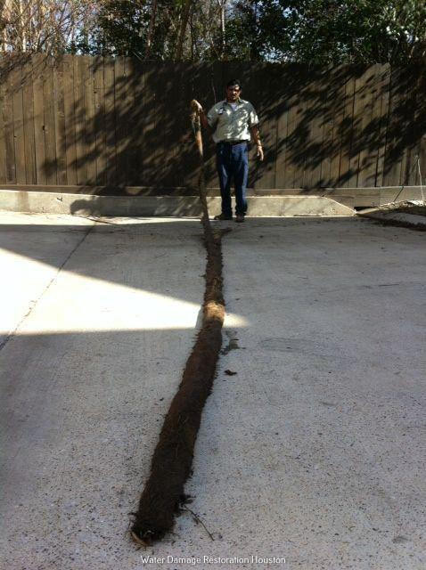 BIONIC Water Damage Emergency Services 4.jpg