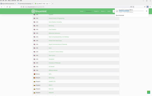 Mint Downloads.jpg