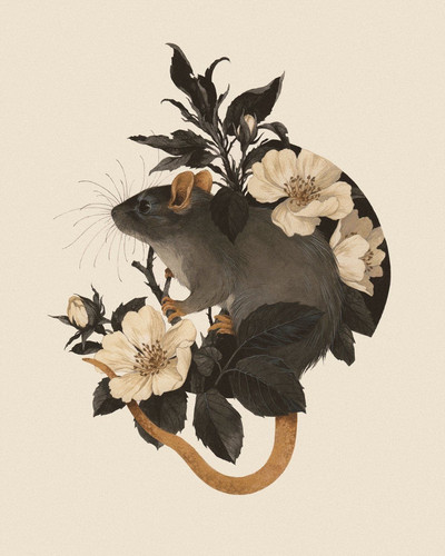 4A6B6E99 555C 46DE AB40 79CFF5AE60B0.jpg