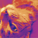 4166b4428d8f429a2f017b325890fa50.png